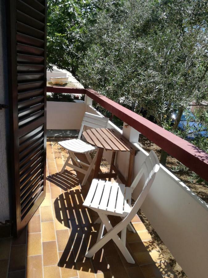 Aenona Sunny Apartment Vrsi Exterior foto